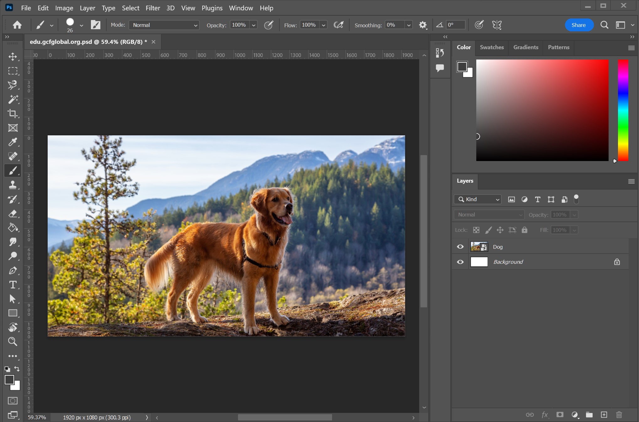 Master Adobe Photoshop: From Beginner to Professional | Lairco Learn